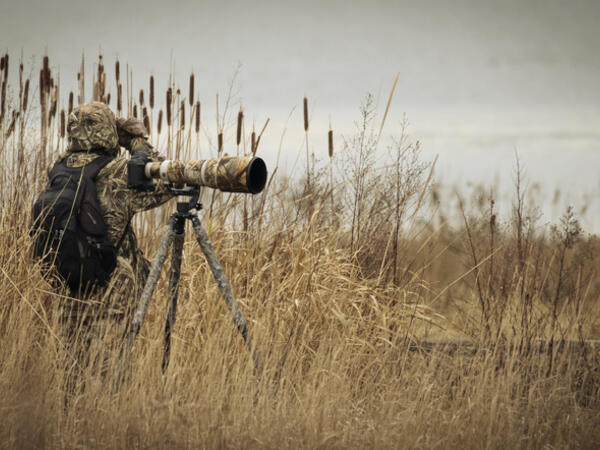 Közel 3000 madárfotó