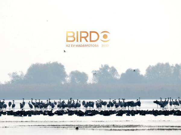 Egy fotó többet ér ezer szónál