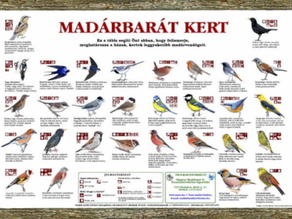 Magyar Madártani és Természetvédelmi Egyesület (MME)