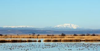 Mexiko Puszta mit Schneeberg