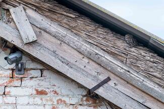 Kis bagoly - nagy meló