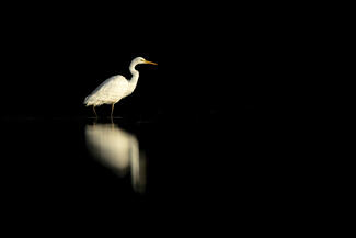 Egyedül a sötétben