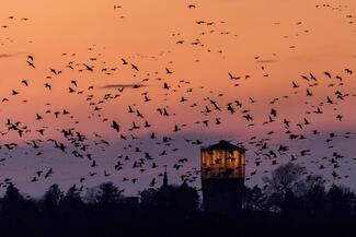 Forgatag a víztorony előtt