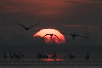 Várj míg felkel majd a Nap