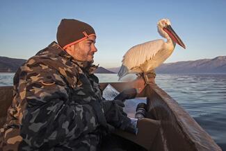 Lóki Csaba, Magyarország