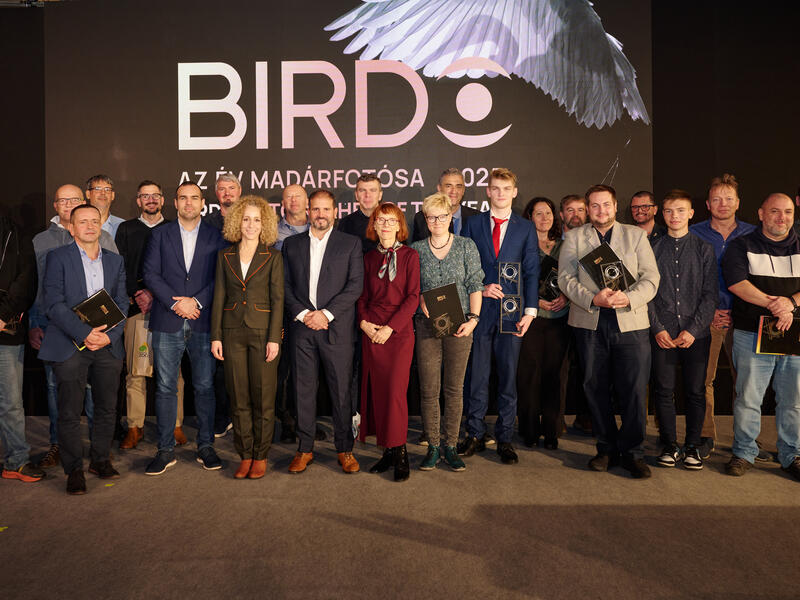 Madárfotók a világ minden tájáról